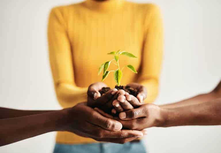 revenue-based financing