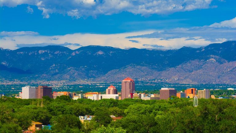 new mexico's startup accelerators