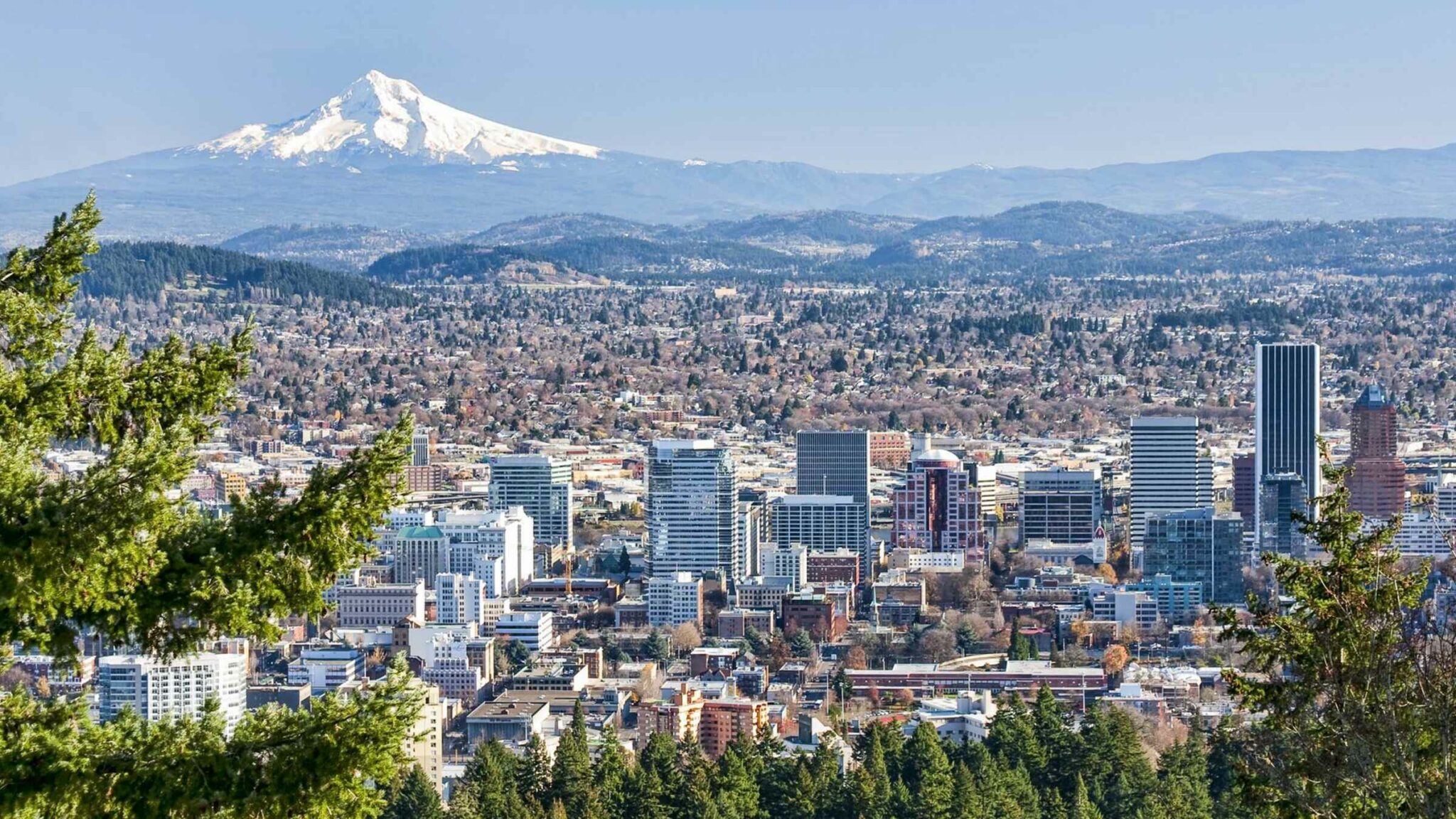 portland's startup accelerators