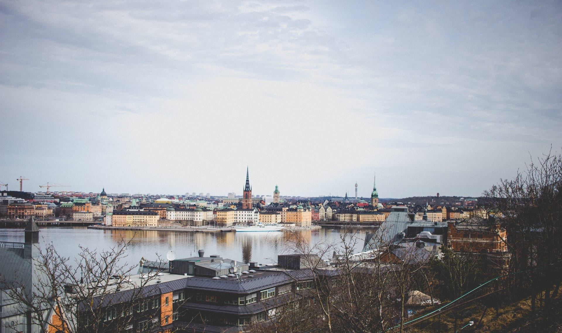 sweden's top vcs