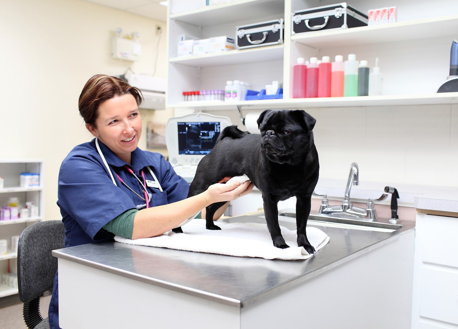 veterinarian clinic business plan