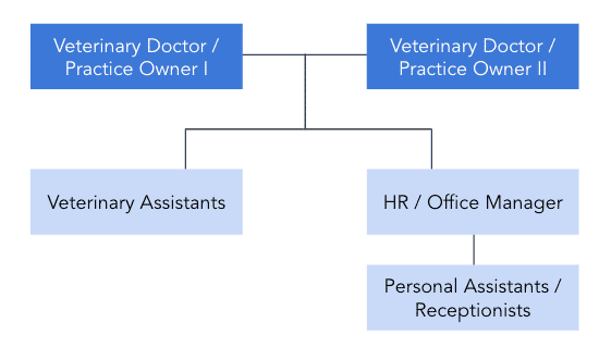 veterinary clinic business plan sample pdf