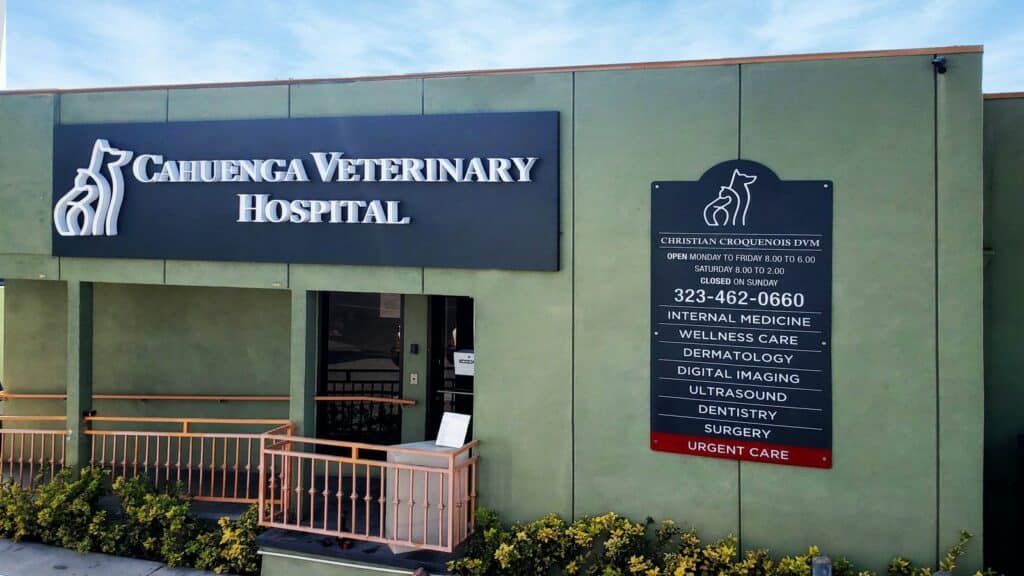 veterinarian clinic business plan