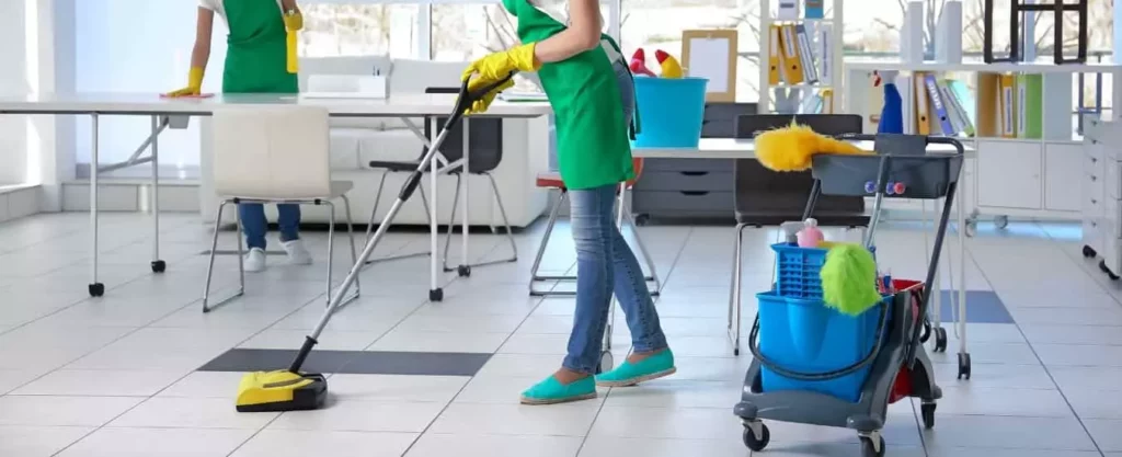 professional cleaning business plan