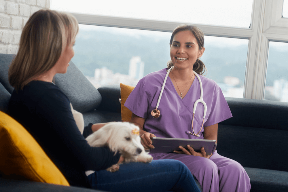 veterinarian clinic business plan