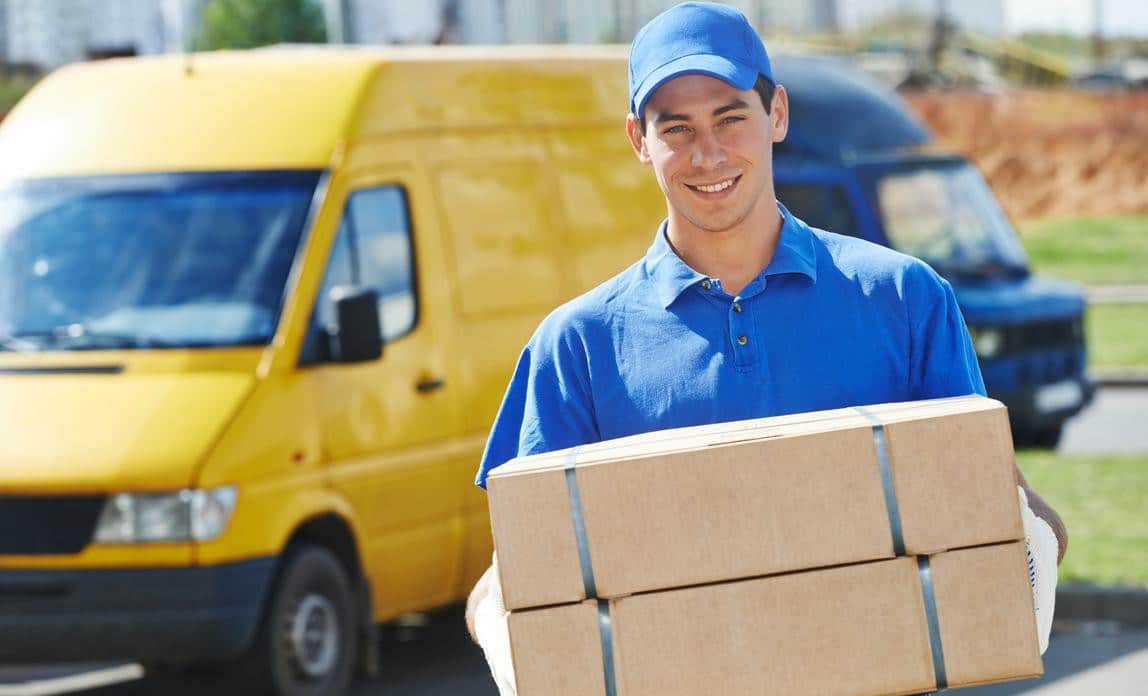 sample delivery service business plan