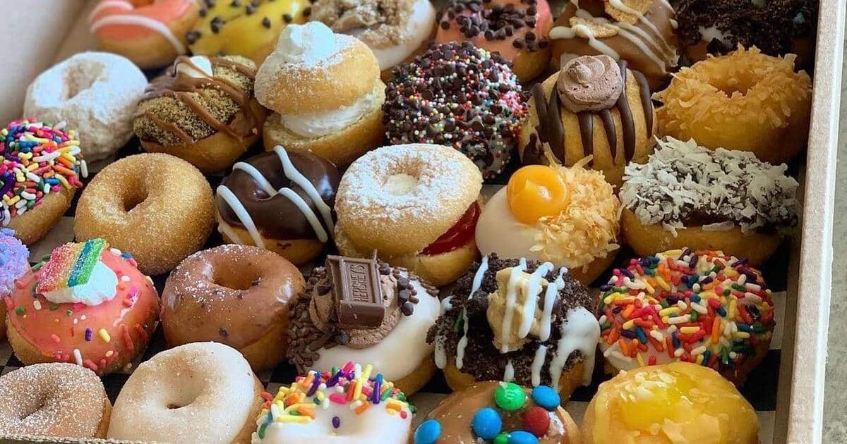 donut shop business plan examples