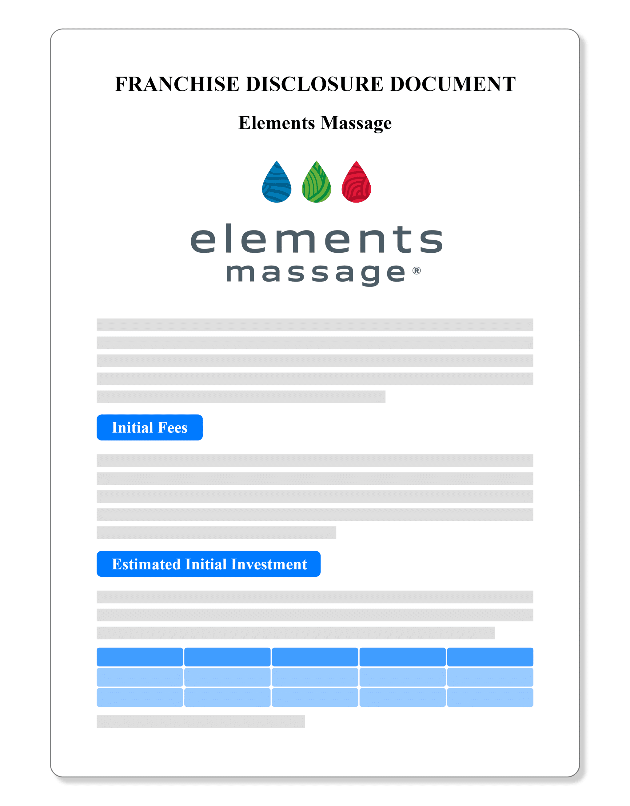 Elements Massage Franchise Disclosure Document