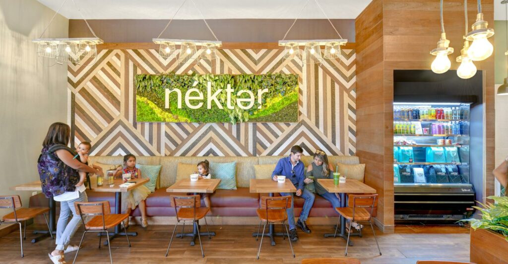 Nekter Juice Bar Franchise 603K Revenue (+ 2023 Costs)