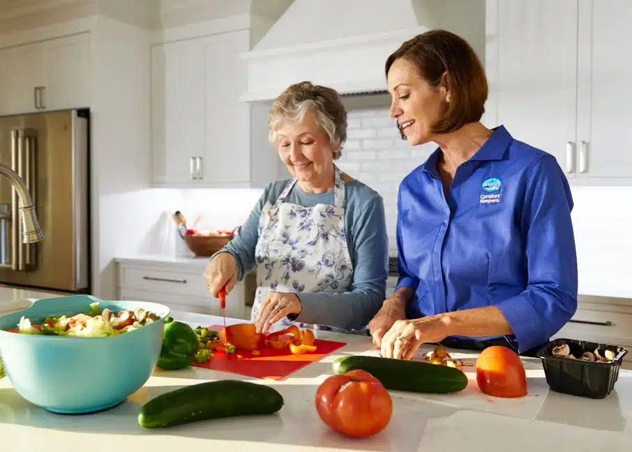 comfort keepers franchise