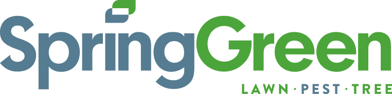 Spring-Green Lawn Care Logo