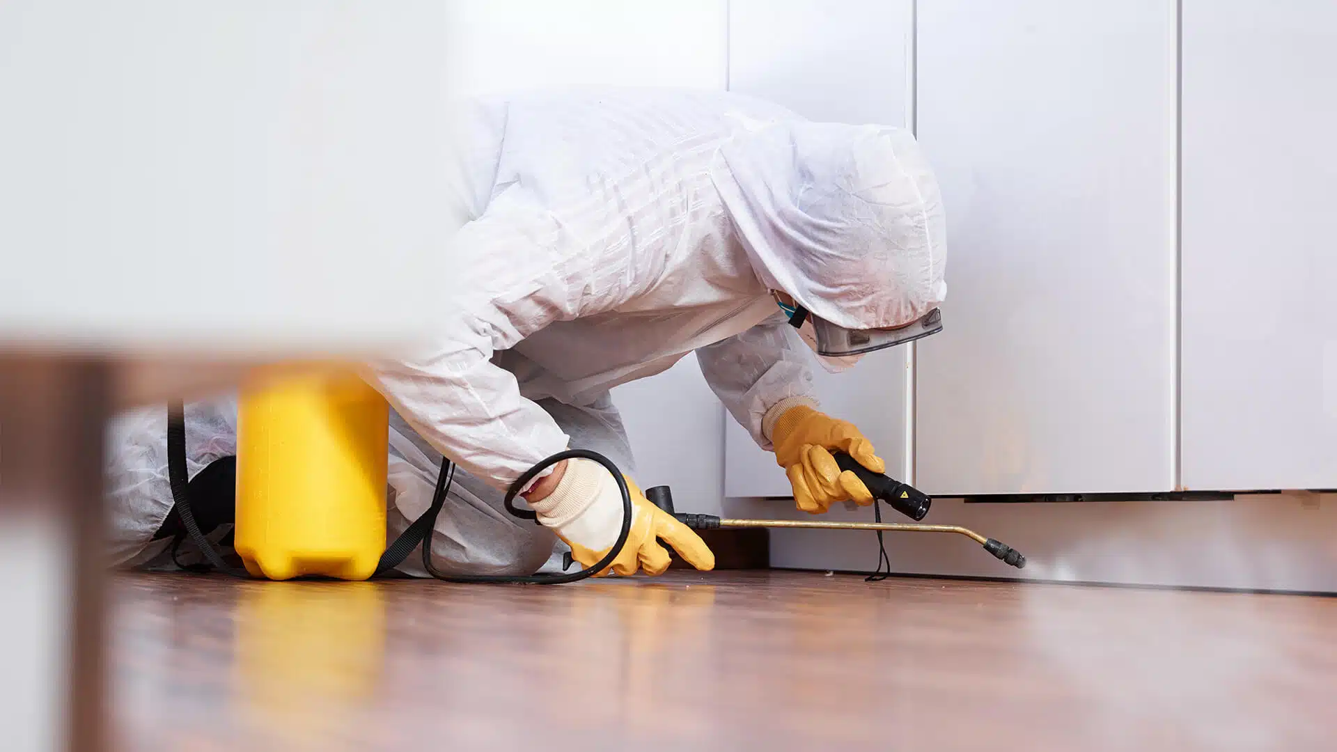 Preventative Pest Control Services Chicago