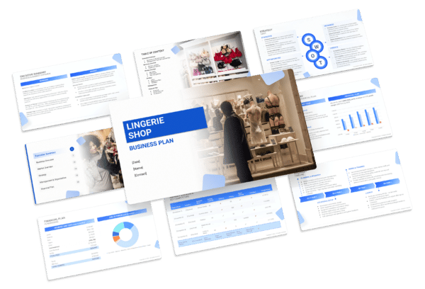 the business plan template for a lingerie shop