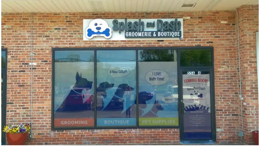 Splash and Dash Franchise Costs 264K 471K (2024 Fees & Profits