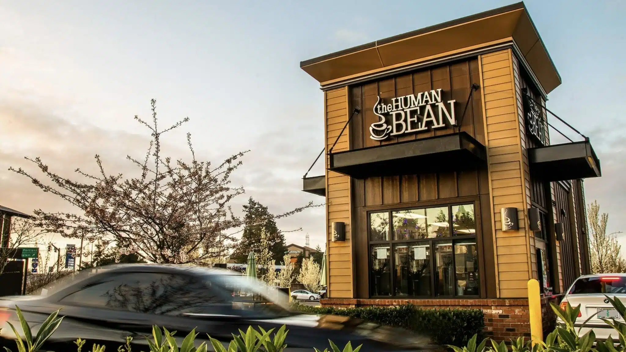 The Human Bean Franchise Costs 552K 1.1M (+ 2024 Profits) SharpSheets