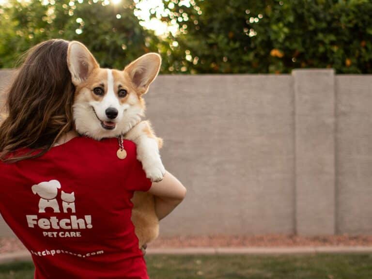Fetch! Pet Care Franchise Costs, Fees & Profits