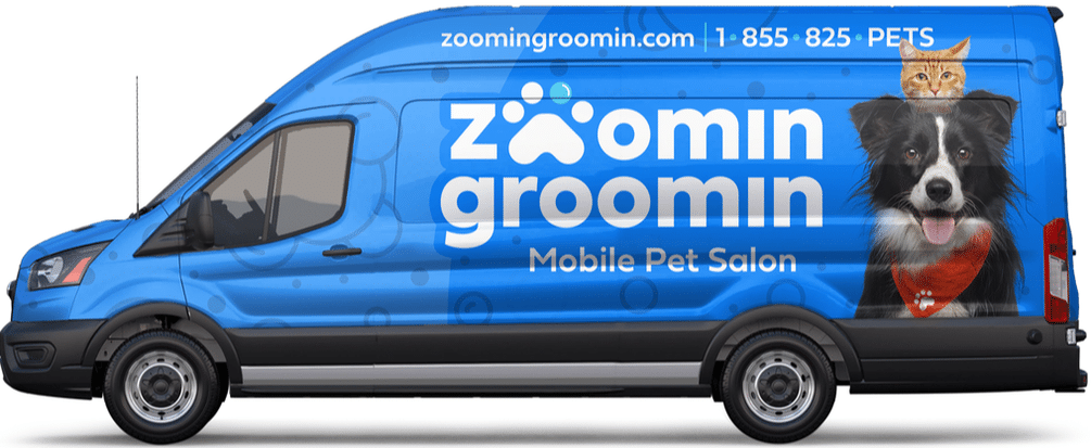 Zoomin Groomin Franchise Costs, Fees & Profits