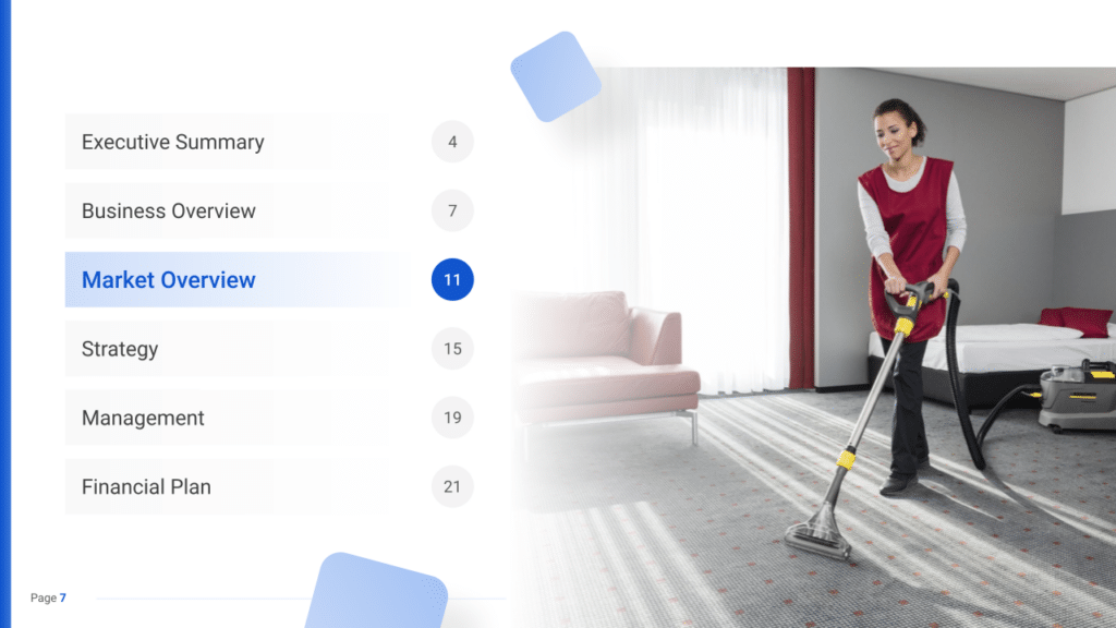 Carpet and Upholstery Cleaning Business Plan market overview