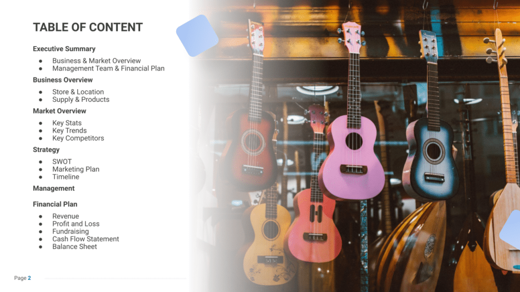 Musical Instrument Store business plan