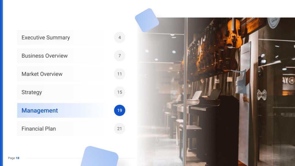 Musical Instrument Store Business Plan management