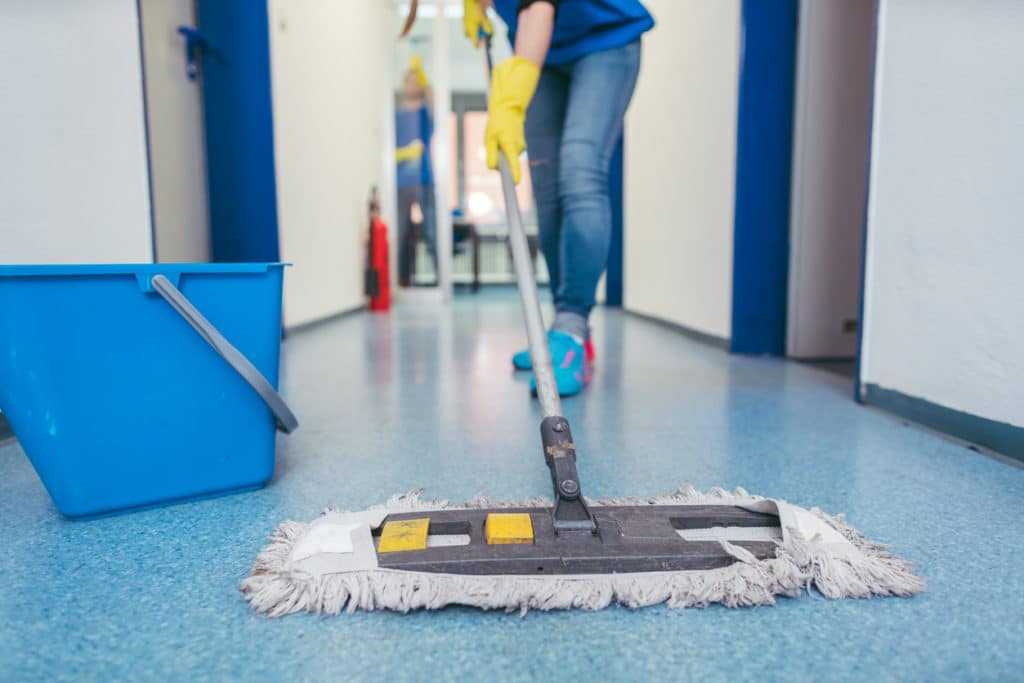 pro one janitorial franchise