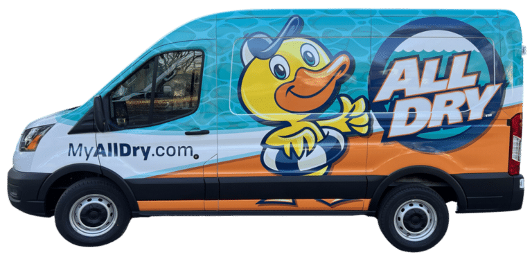 All Dry Services franchise
