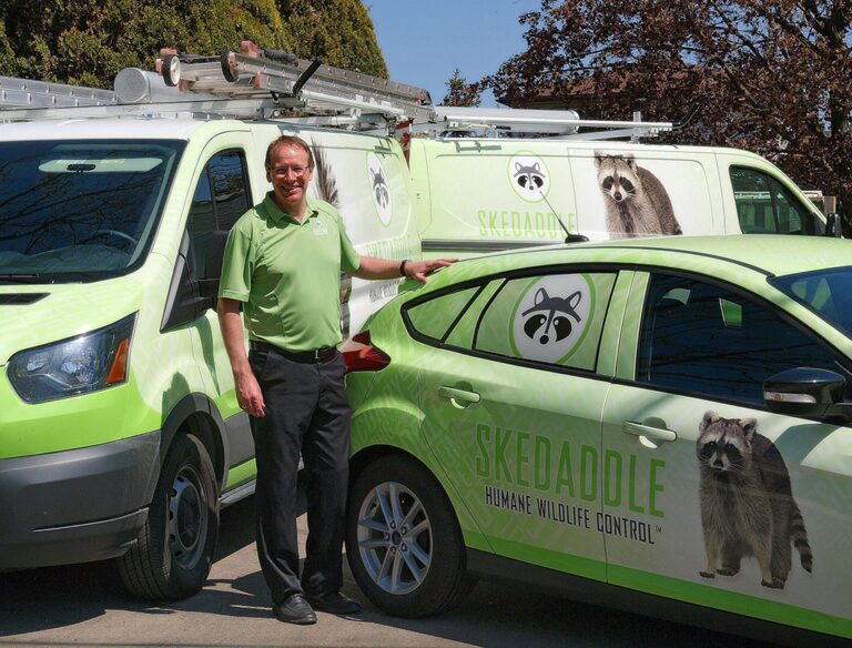 Skedaddle franchise