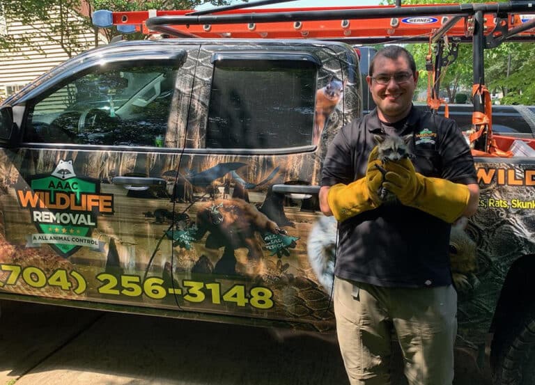 AAAC Wildlife Removal franchise