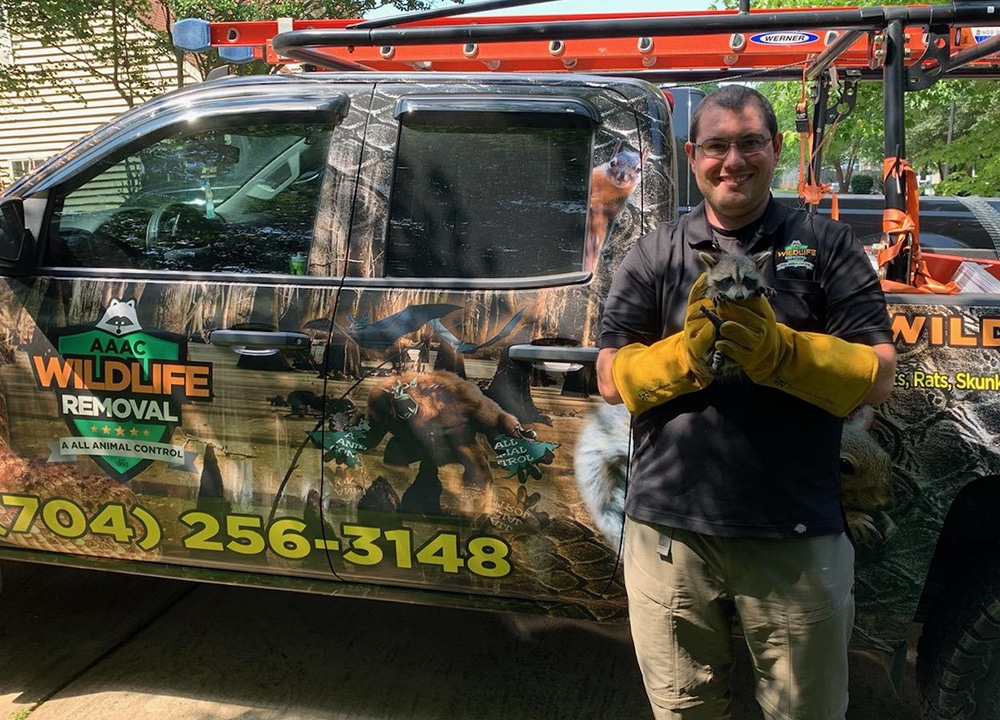 AAAC Wildlife Removal franchise