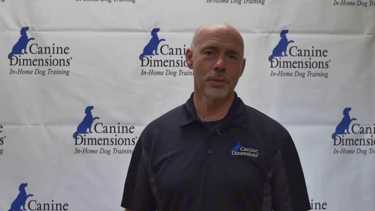 Canine Dimensions franchise
