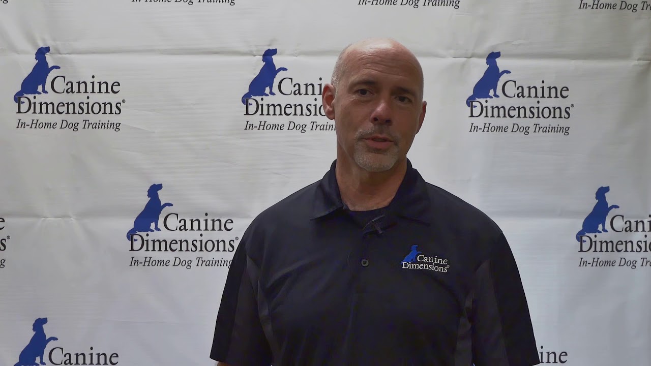 Canine Dimensions franchise