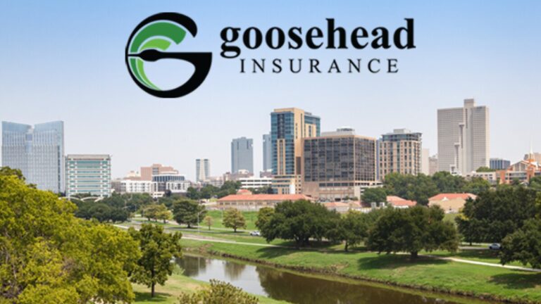 Goosehead Insurance franchise