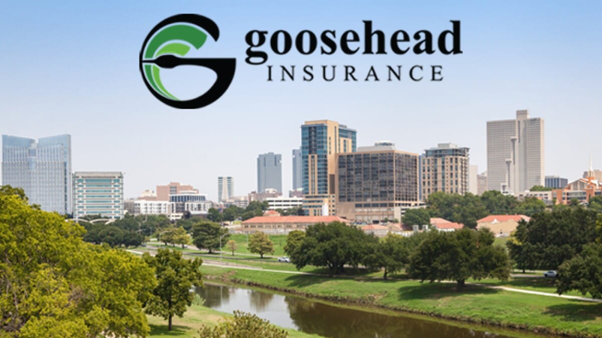 Goosehead Insurance franchise