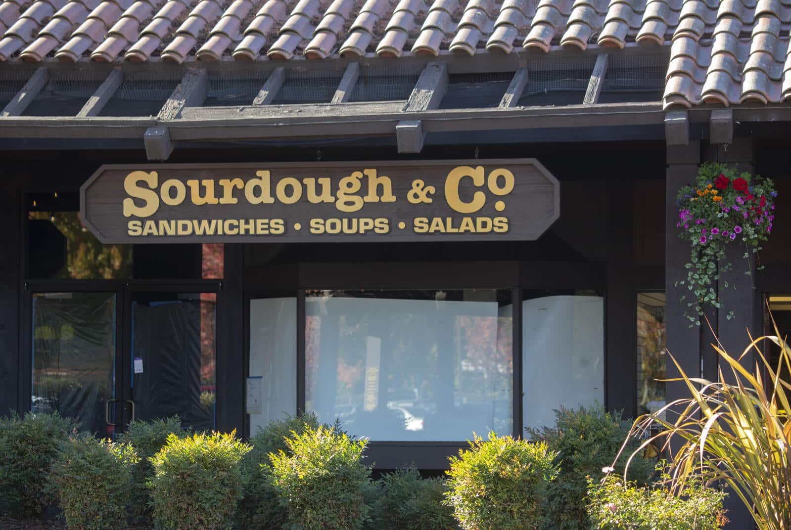 Sourdough & Co franchise