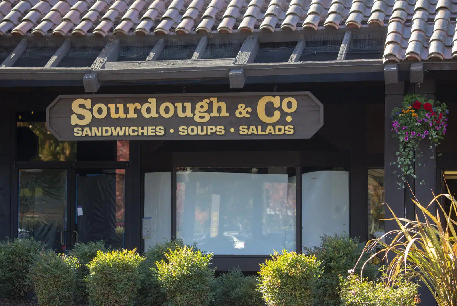 Sourdough & Co franchise