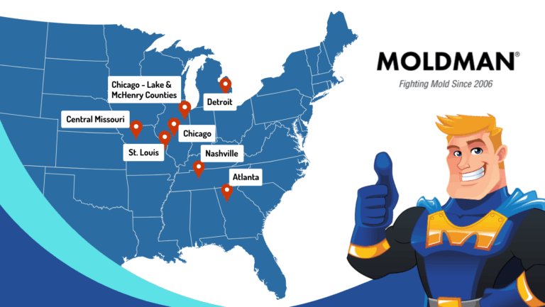 MOLDMAN franchise