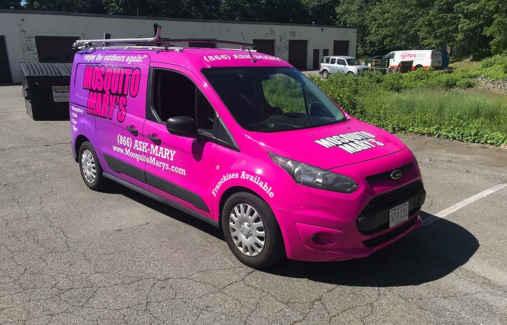 Mosquito Mary's franchise