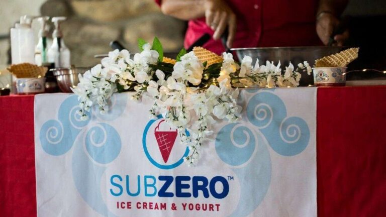 Sub Zero Nitrogen Ice Cream franchise