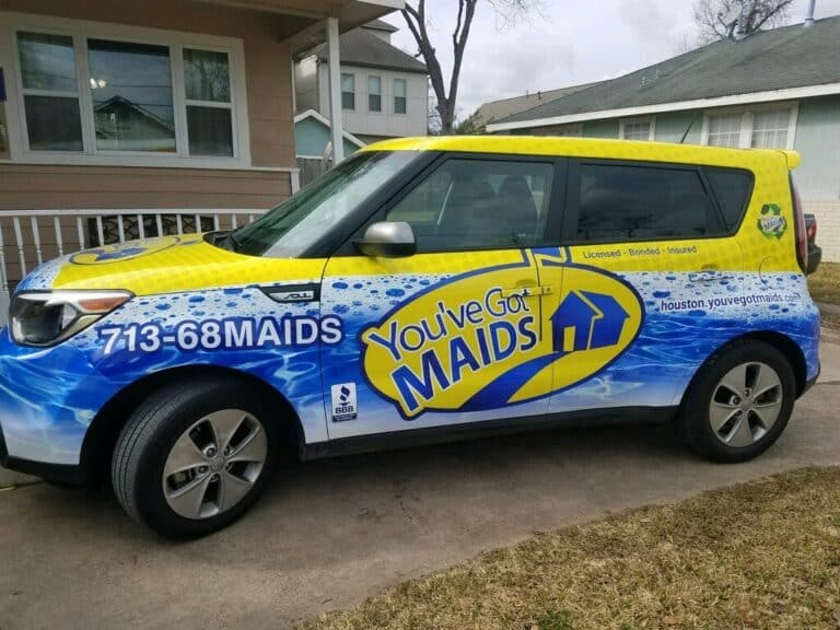 You've Got Maids franchise