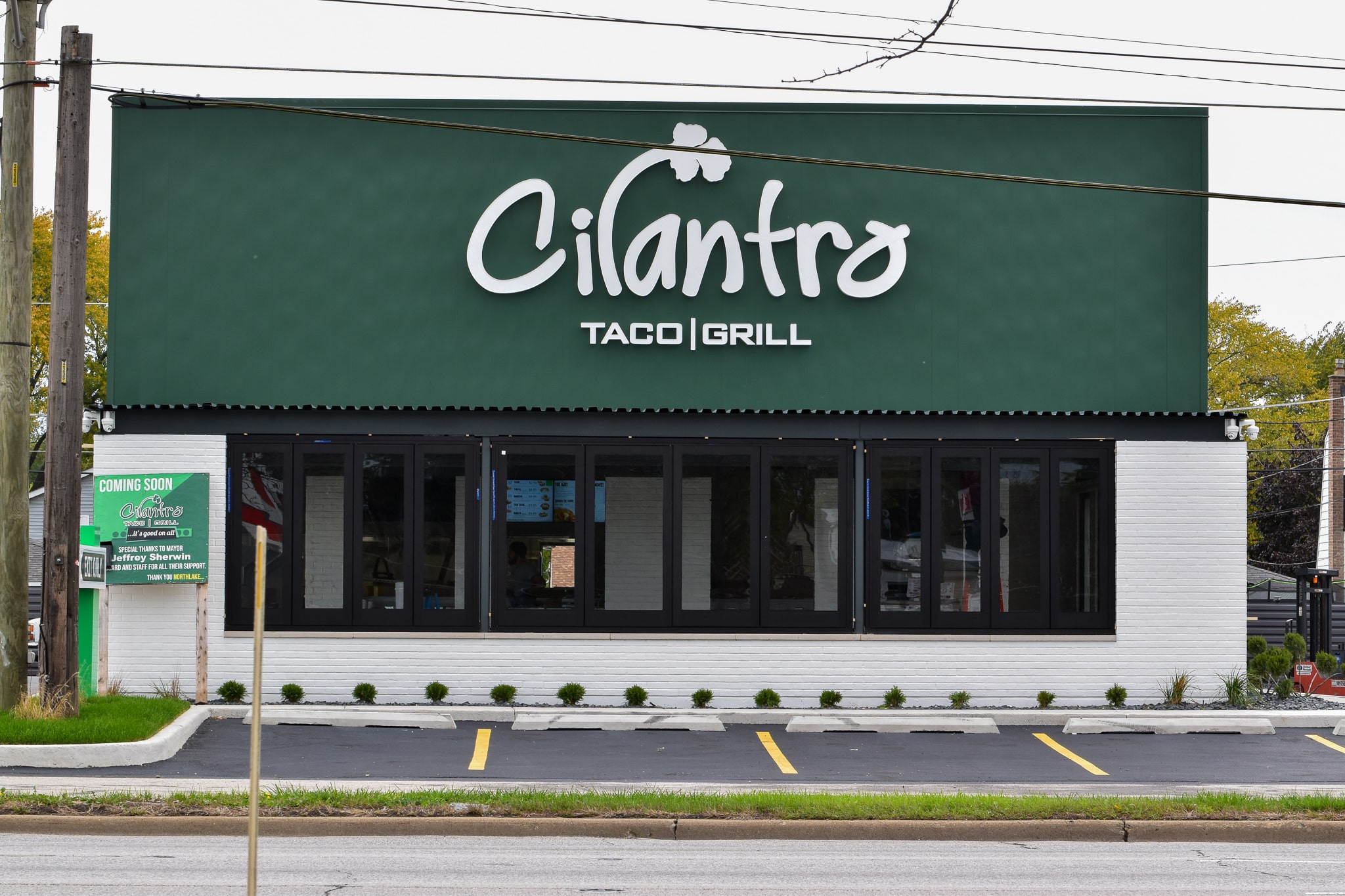Cilantro Taco Grill franchise