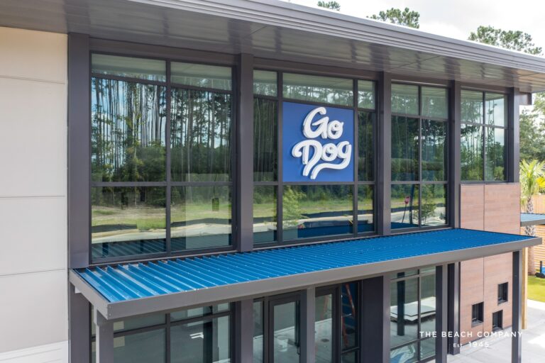 GoDog franchise