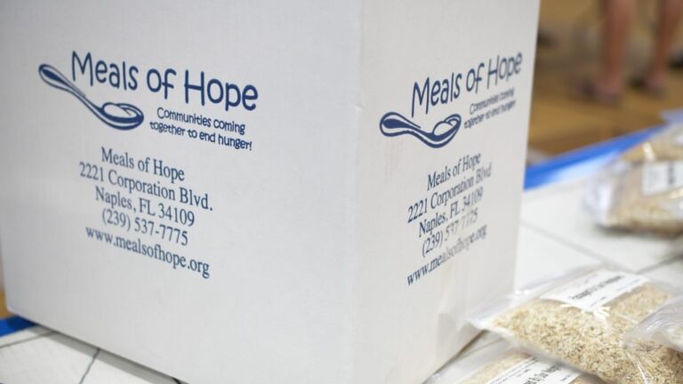 Meals of Hope franchise
