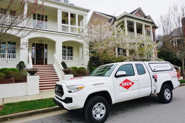 Orkin franchise