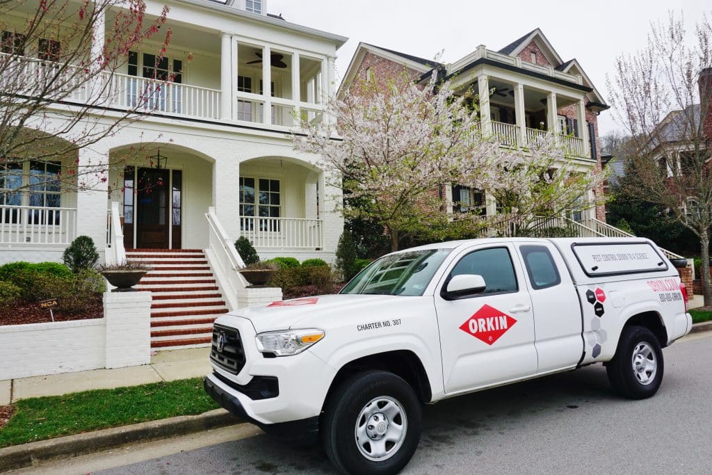 Orkin franchise