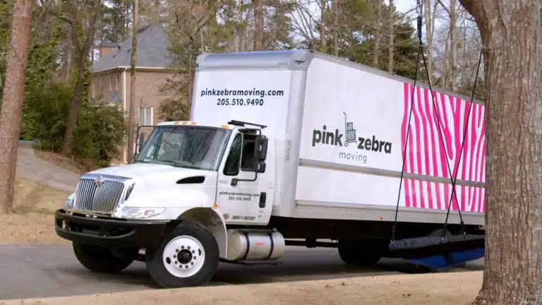 Pink Zebra Moving franchise