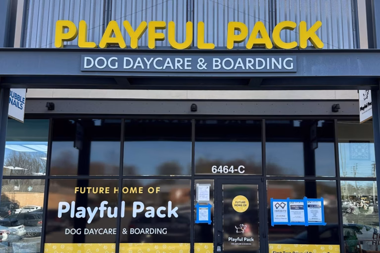 playfulpack franchise
