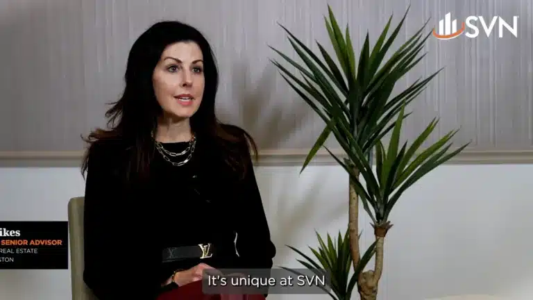 SVN franchise