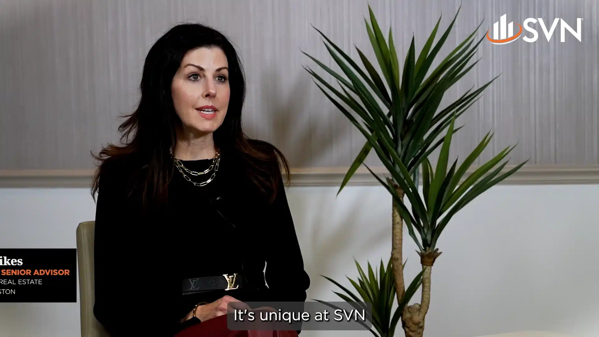 SVN franchise