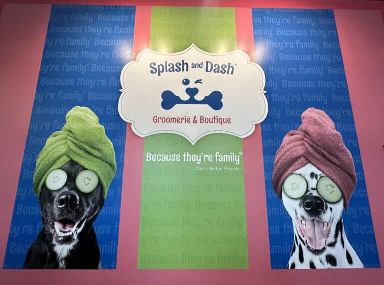 Splash and Dash Groomerie & Boutique franchise