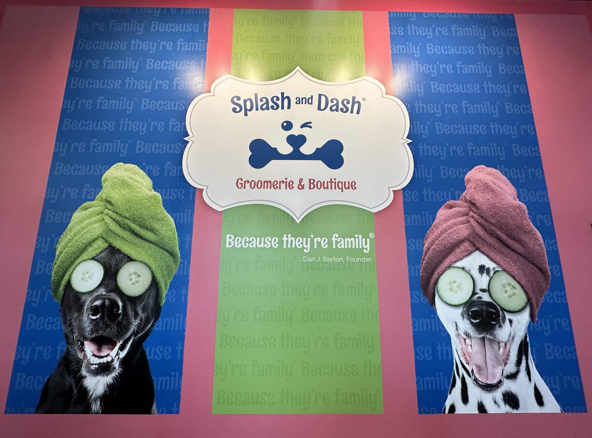 Splash and Dash Groomerie & Boutique franchise